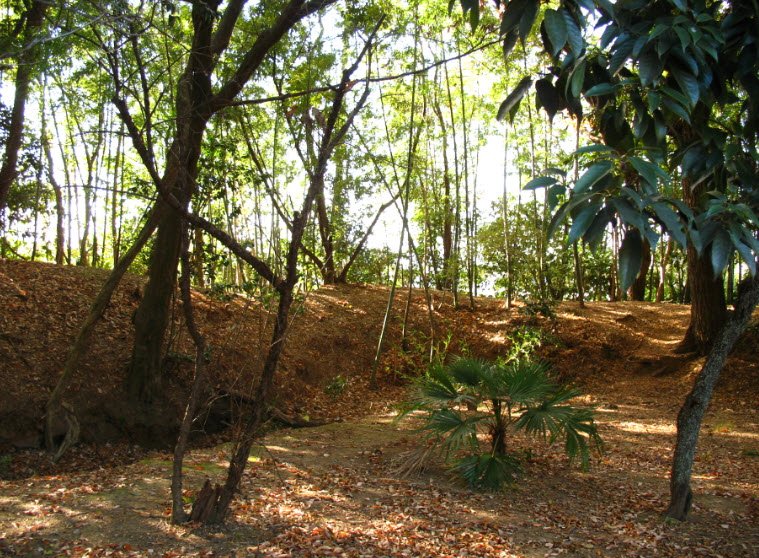 Nirengi Castle Ruins, Japan